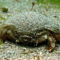 new IMG 5710
