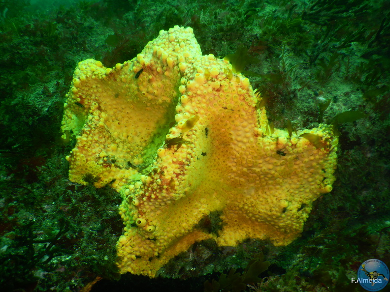 DSCN3914.JPG