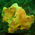 DSCN3914