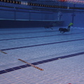 IMG 0222