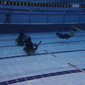 IMG 0223