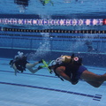 IMG 0227