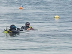 IMG-20220703-WA0039