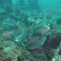 IMG 9519