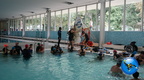 new IMG 5004