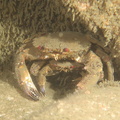 IMG 2735