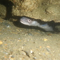 IMG 2763