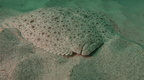 IMG 3543