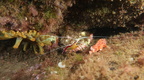 IMG 4017