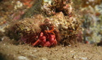 IMG 4062