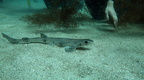 IMG 4440